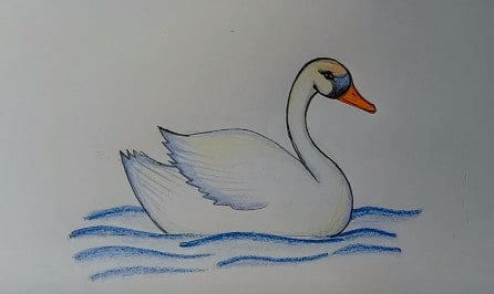 How To Draw A Swan Easy Drawing Art In 2020 Easy Drawings Swan Images