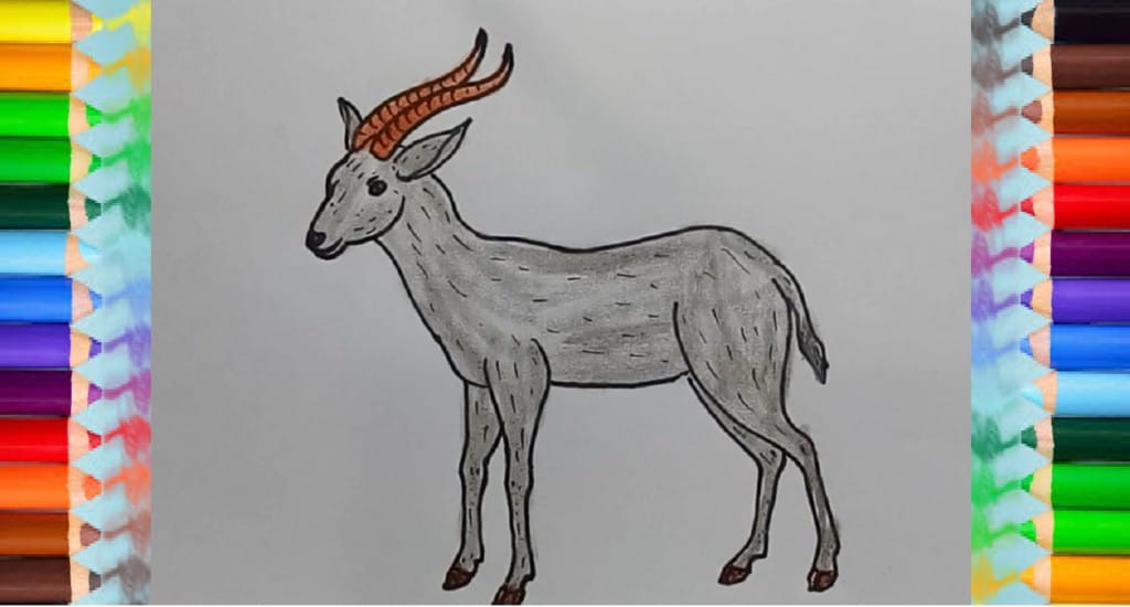 How to draw an antelope step by step