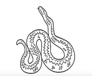 How to draw a adder easy step by step