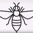 How to draw a bee easy step by step – Easy animals to draw