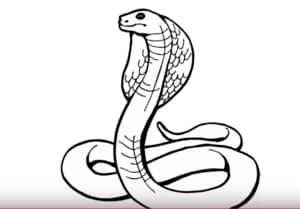 How To Draw A Cobra Step By Step Easy Easy Animals To Draw