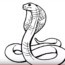 How to draw a cobra step by step easy – Easy animals to draw