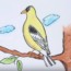 How to draw a goldfinch bird easy step by step – Easy animals to draw