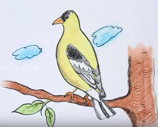How to draw a goldfinch bird easy step by step