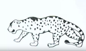 How to draw a jaguar easy step by step