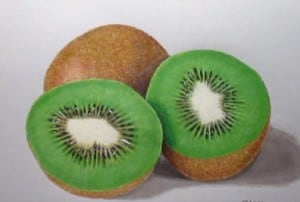 How to draw a kiwi Fruit easy step by step