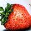 How to draw a strawberry easy step by step – Fruits drawing