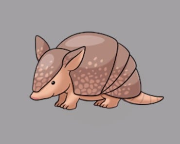 How to draw an armadillo easy step by step – Easy animals to draw