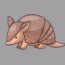 How to draw an armadillo easy step by step – Easy animals to draw