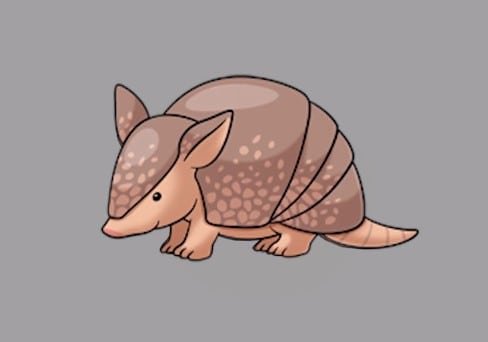 How to draw an armadillo easy step by step - Easy animals to draw