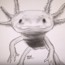 How to draw an axolotl step by step easy – Easy animals to draw