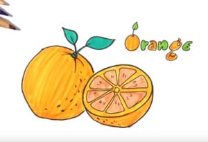 how to draw an orange easy step by step