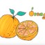 How to draw an orange Fruit | Fruits drawing
