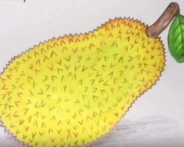 How to draw jackfruit step by step easy | Fruits drawing