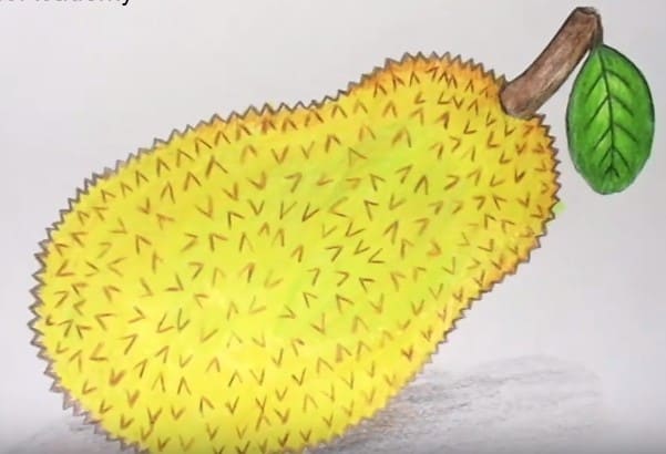 How to draw jackfruit step by step easy | Fruits drawing