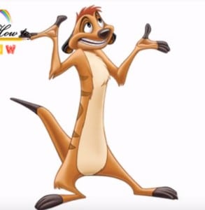 How to draw timon from The lion king