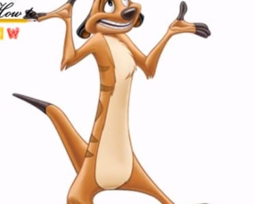 How to draw timon from The lion king | Lion king drawings