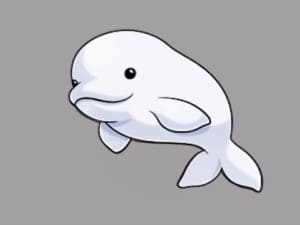 how to draw a beluga whale step by step easy