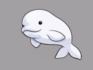 How to draw a beluga whale step by step easy - Easy animals to draw