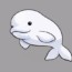 How to draw a beluga whale step by step easy  – Easy animals to draw