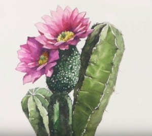 How to Draw a Cactus Flower