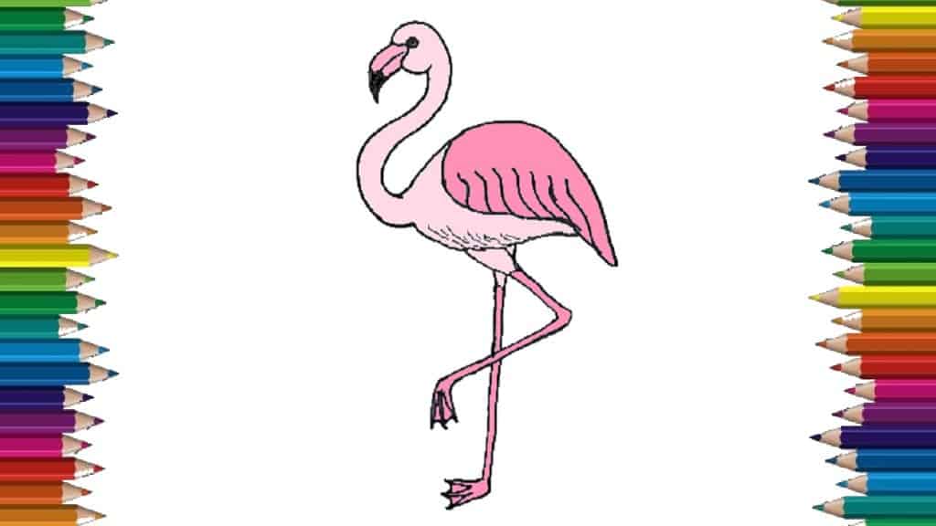 How to Draw a Flamingo step by step - Easy animals to draw