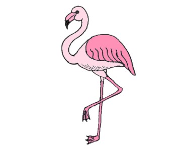 How to Draw a Flamingo step by step | Bird drawing easy