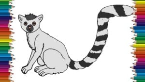 How to Draw a Lemur step by step - Easy animals to draw