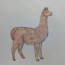 How to Draw an Alpaca step by step | Easy animals to draw