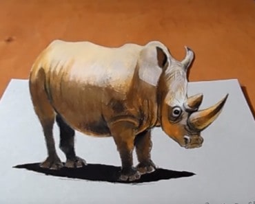 How to draw a Rhino 3D step by step – 3D Trick Art on Paper