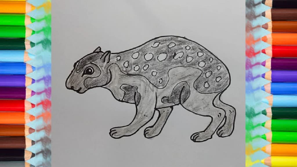 How to draw a paca easy step by step