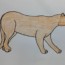 How to draw a puma easy step by step – Easy animals to draw