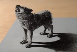 How to draw a wolf 3D easy step by step - Anamorphic Illusion on Paper