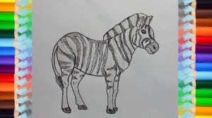 How to draw a zebra horse step by step