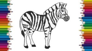 How to draw a zebra horse step by step - Easy animals to draw