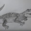 How to draw an Alligator for beginners step by step and easy