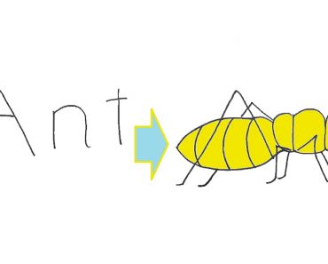 How To Draw An Ant Cartoon Using The Word Ant