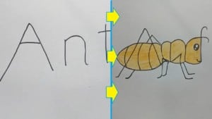 How To Draw An Ant Using The Word Ant