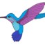 How to draw a Hummingbird step by step – Bird drawing easy