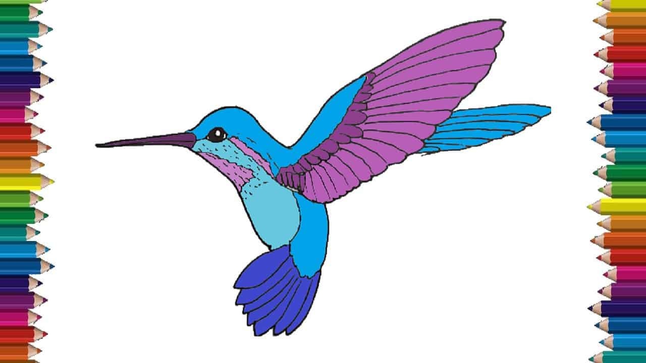 How to draw a Hummingbird step by step - Bird drawing easy