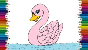 How To Draw A Swan Cute Step By Step Easy Drawings For Kids