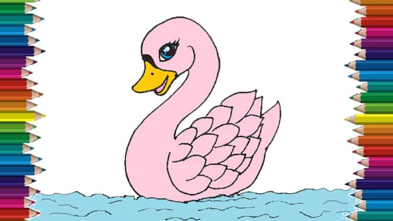 how-to-draw-a-swan-cute-step-by-step-easy-drawings-for-kids