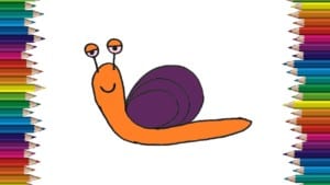 How to draw a snail cute and easy step by step - Easy drawings for kids