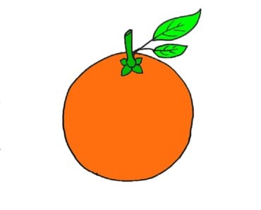 How to draw orange easy step by step | Fruits drawing and coloring