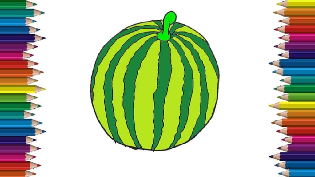 How to draw a watermelon easy step by step
