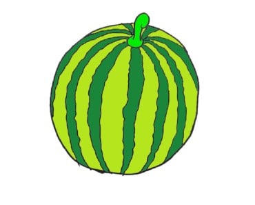 How to draw a watermelon step by step – Fruits drawing and coloring