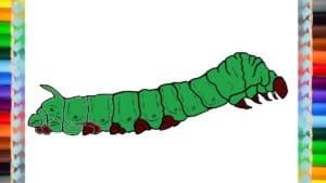 how to draw a silkworm (2)