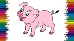 How to draw a cute pig easy - Pig drawing and coloring