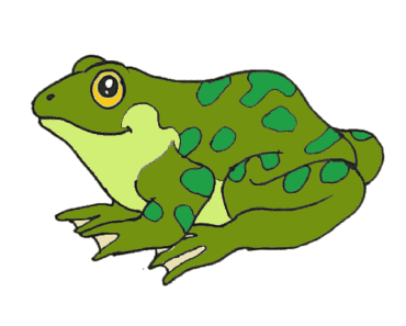 How to draw a Frog step by step – Cute Frog drawing easy