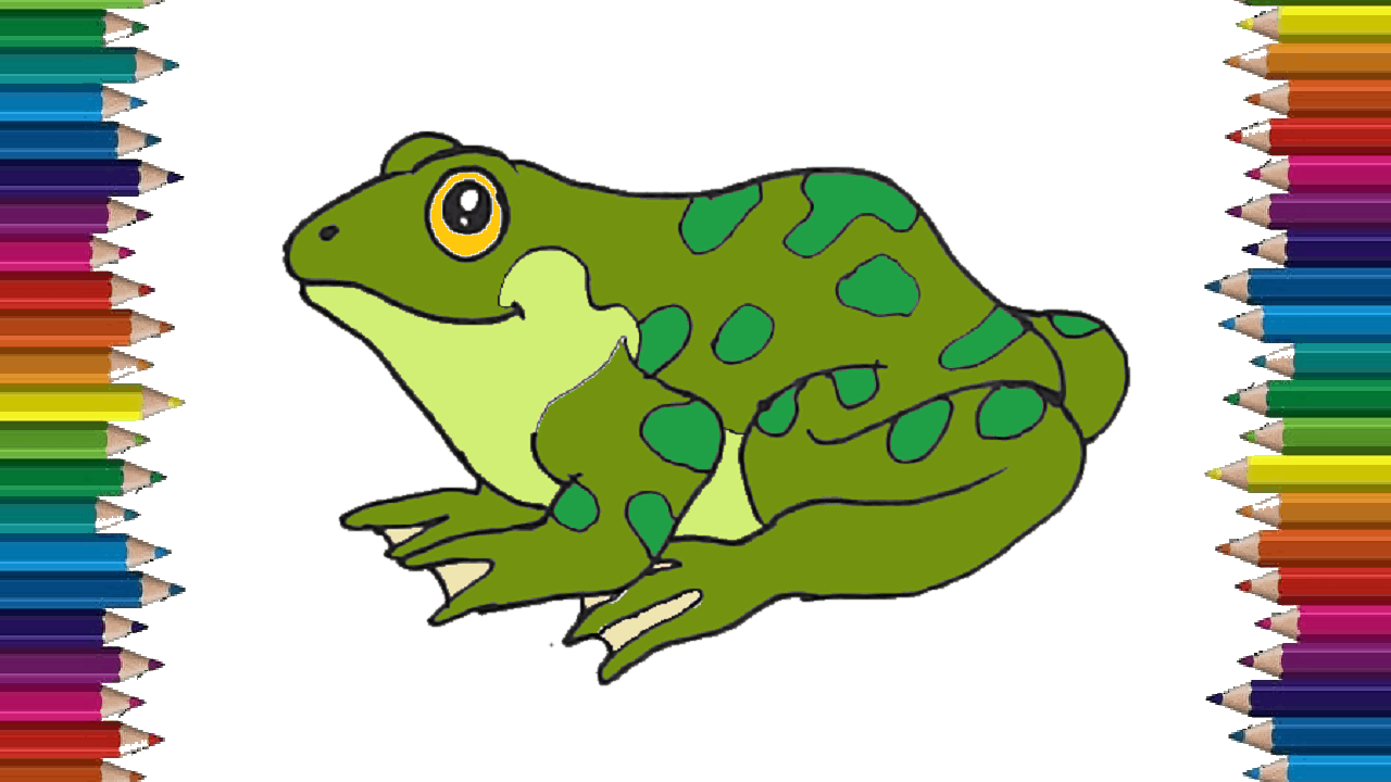 How to draw a Frog step by step - Cute Frog drawing easy